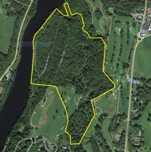 Google Maps aerial photo of Pine Park area